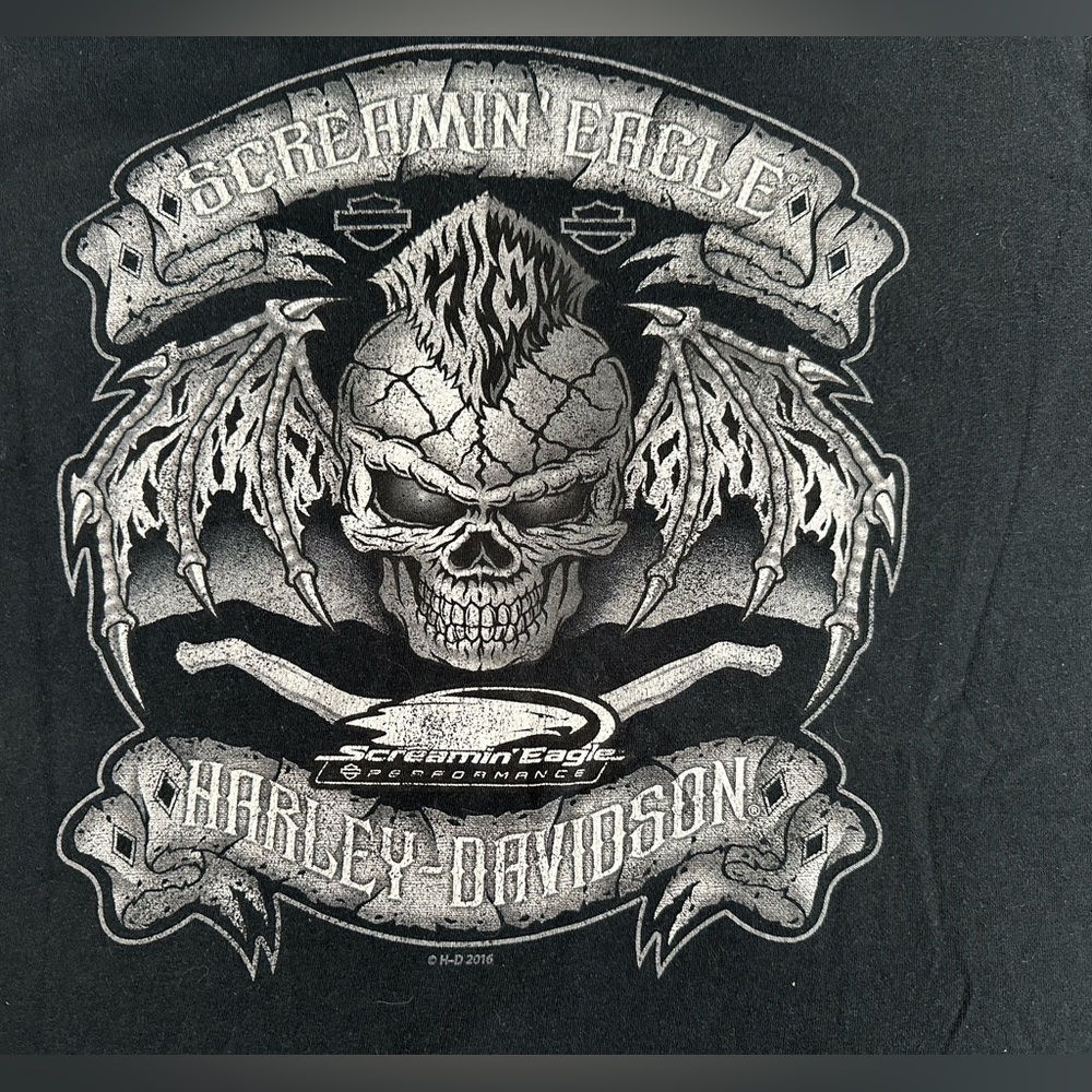 Vintage Harley Davidson Y2K Winged Skull Faded Black Screaming Eagle Large